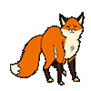 Foxxy