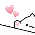 Hi Cat